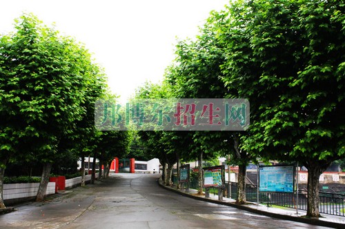 哪個(gè)大專學(xué)校海乘海員好