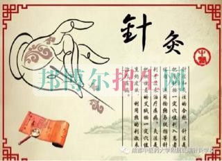 2017年成都中醫(yī)藥大學(xué)附屬醫(yī)院針灸學(xué)校招生簡(jiǎn)章