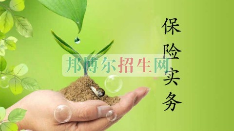 成都保險實(shí)務(wù)就業(yè)前景怎么樣