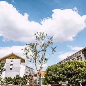 南京科技職業(yè)學(xué)院怎么樣、好不好