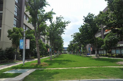 昆山花橋國際商務城中等專業(yè)學校怎么樣、好不好