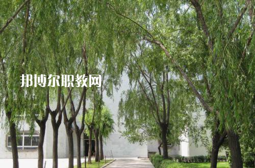 新疆喀什地區(qū)衛(wèi)生學(xué)校2021年報(bào)名條件、招生要求、招生對象