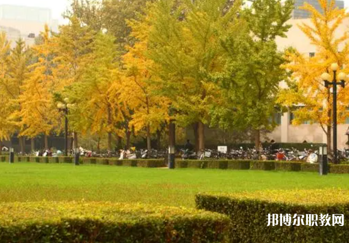 四川2025年消防技術工程學校學什么比較好